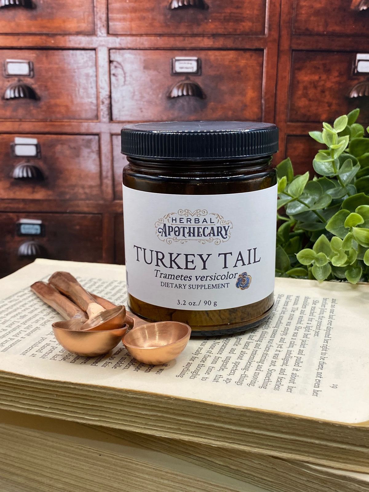 Turkey Tail 90g — Herbal Apothecary